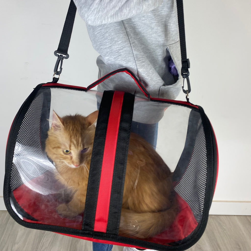 Transporttasche für Katzen - endlich stressfrei zum Tierarzt