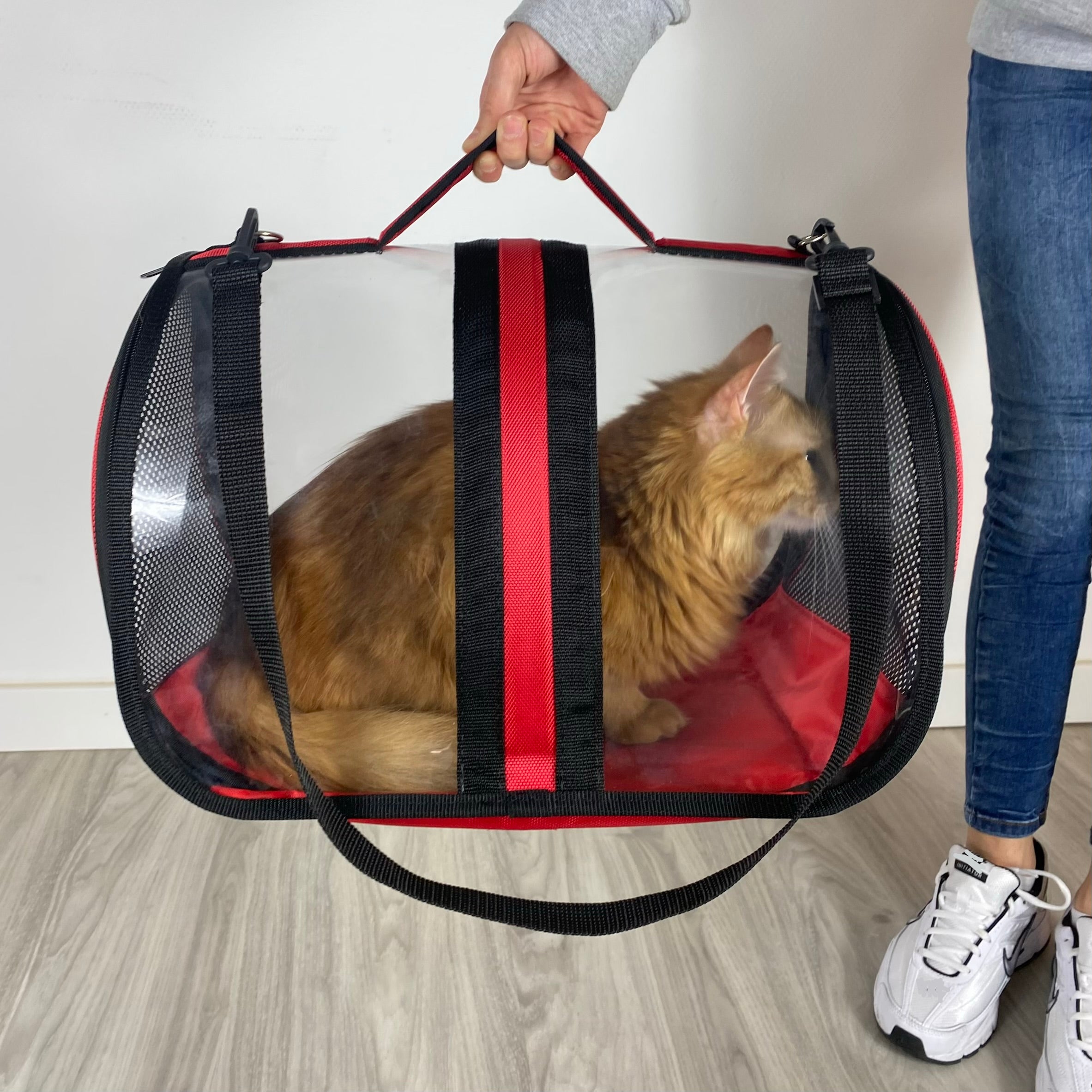 Transporttasche für Katzen - endlich stressfrei zum Tierarzt
