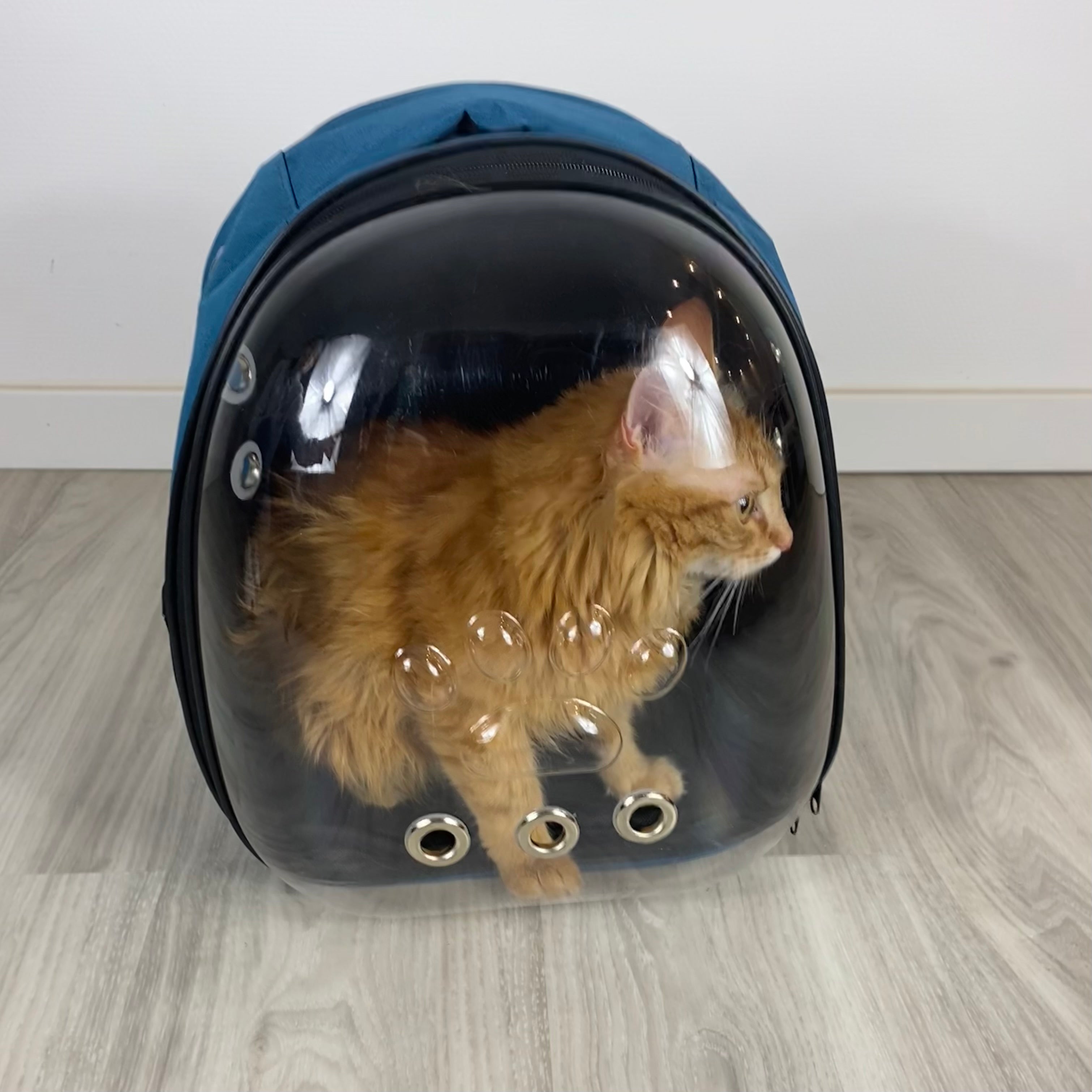 Astronauten-Rucksack für Katzen