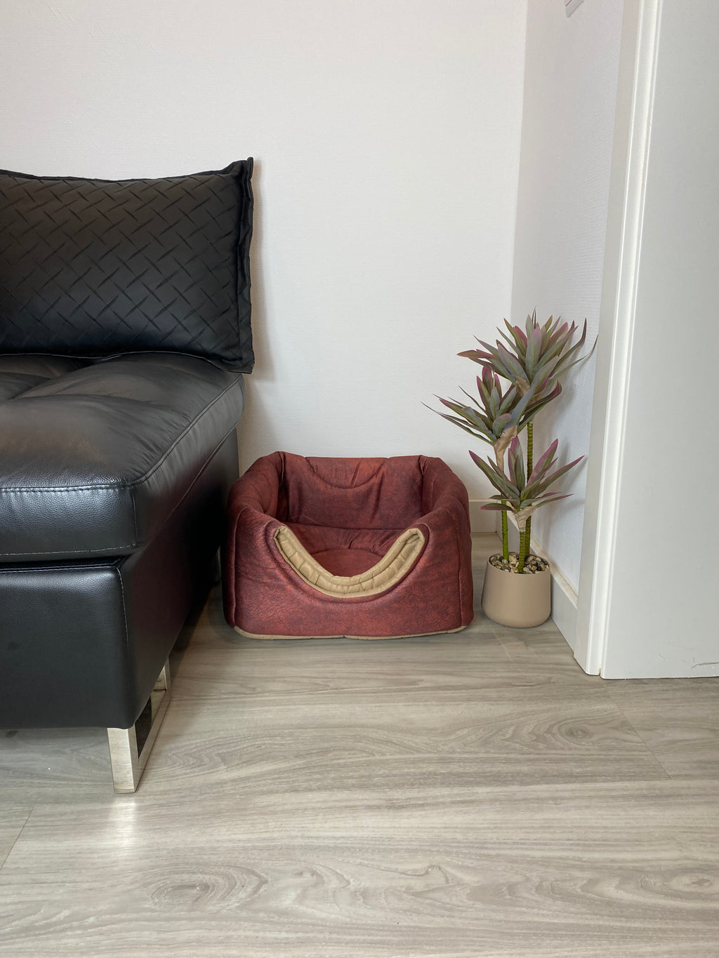 3-in-1 Katzenhöhle als Bett & Sessel 😺