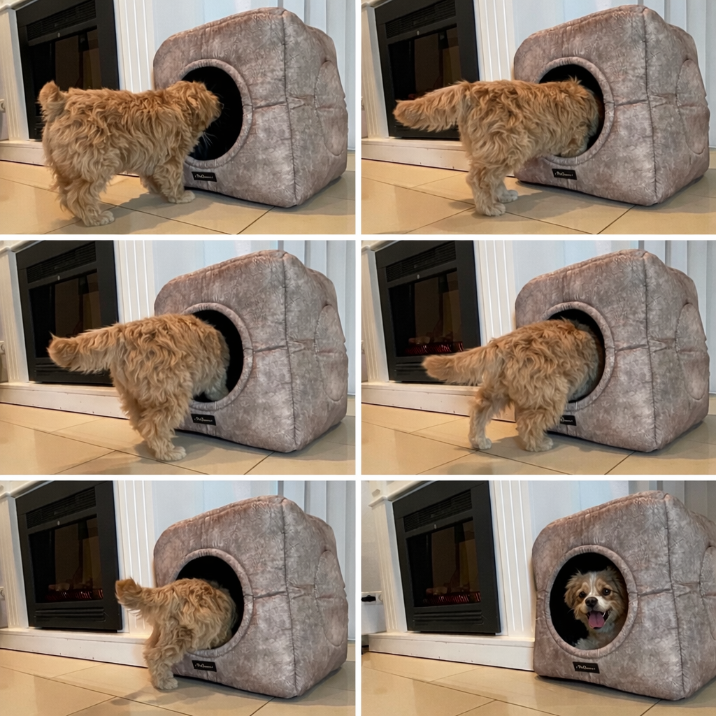 3-in-1 Hundehöhle als Bett & Sessel 🐶