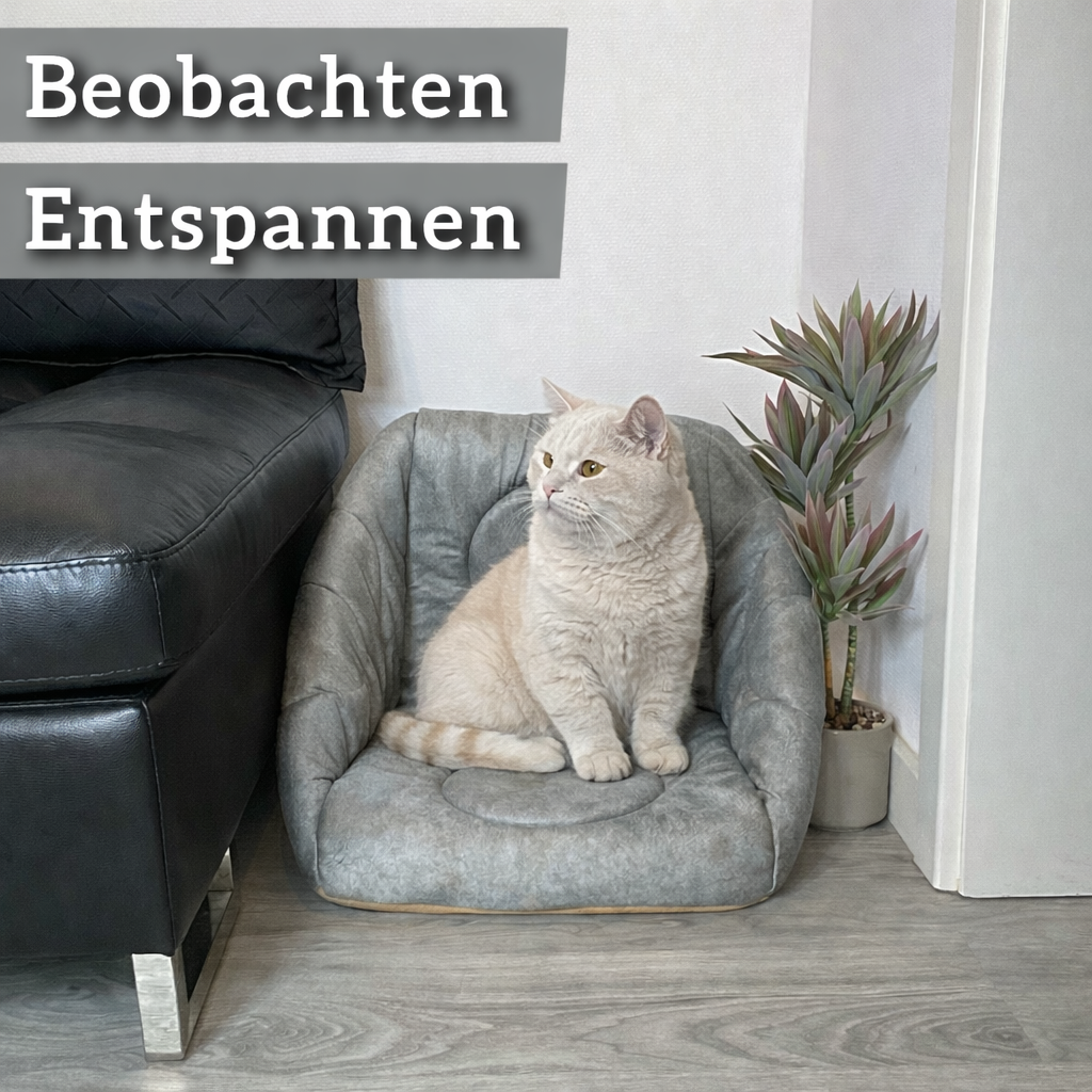 Die 3-in-1 Katzenhöhle, die Katzen lieben - zu jeder Jahreszeit. (Grau)
