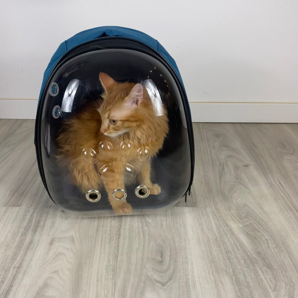 Astronauten-Rucksack für Katzen