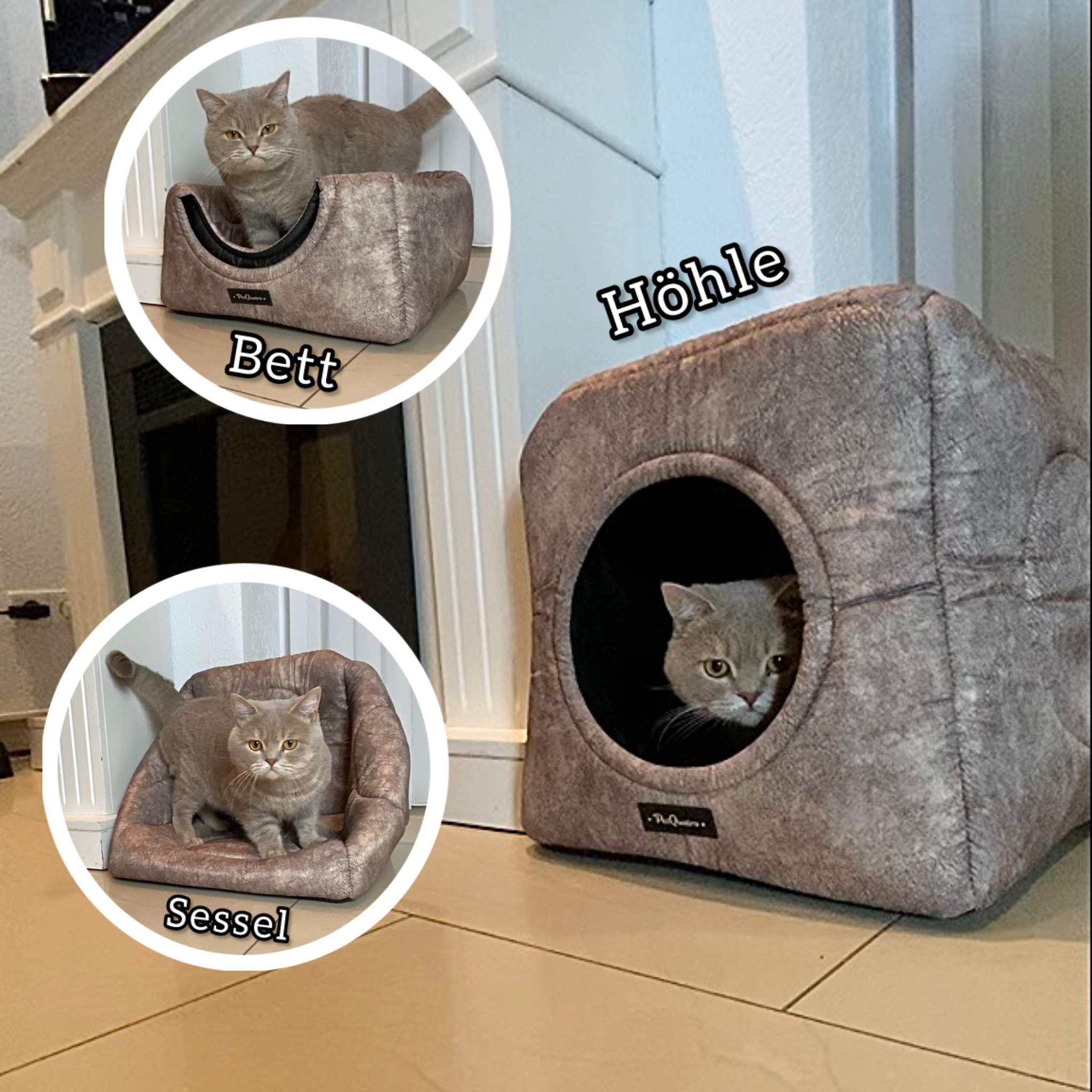 Der perfekte Lieblingsplatz für deine Katze 😺