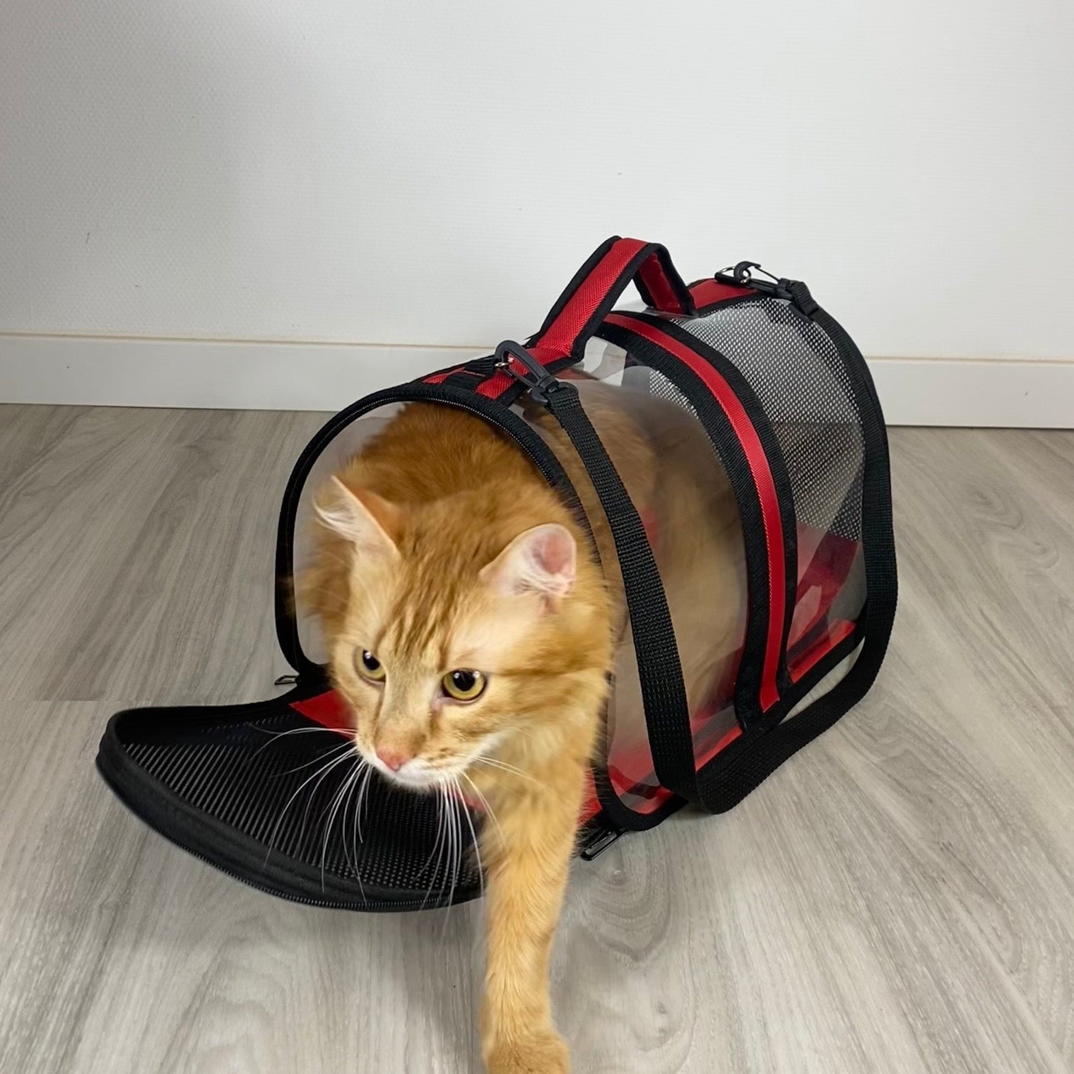 Transporttasche für Katzen - endlich stressfrei zum Tierarzt