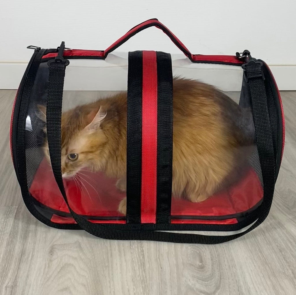 Transporttasche für Katzen - endlich stressfrei zum Tierarzt