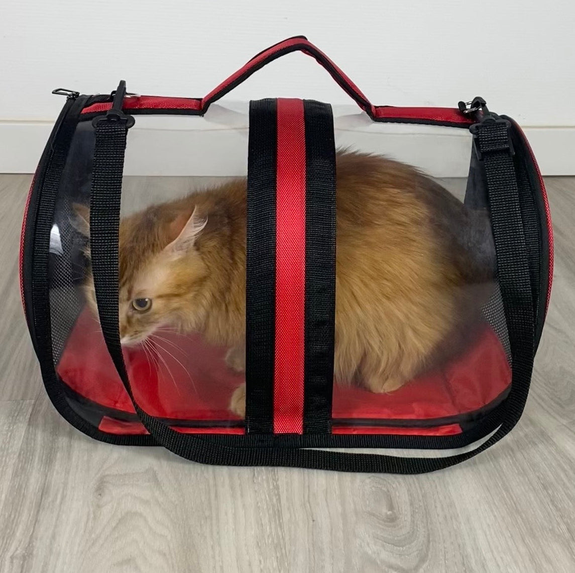 Transporttasche für Katzen - endlich stressfrei zum Tierarzt