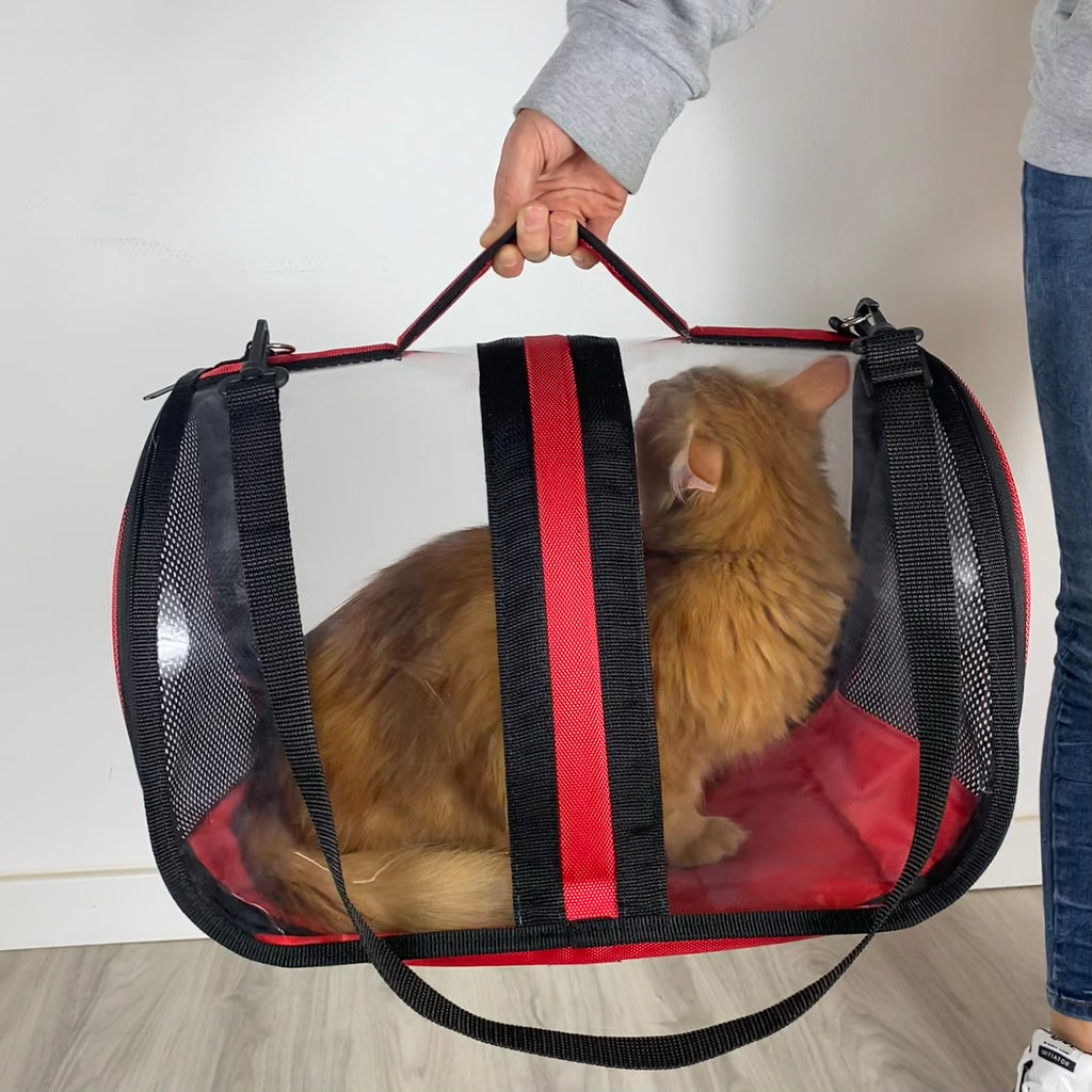 Transporttasche für Katzen - endlich stressfrei zum Tierarzt