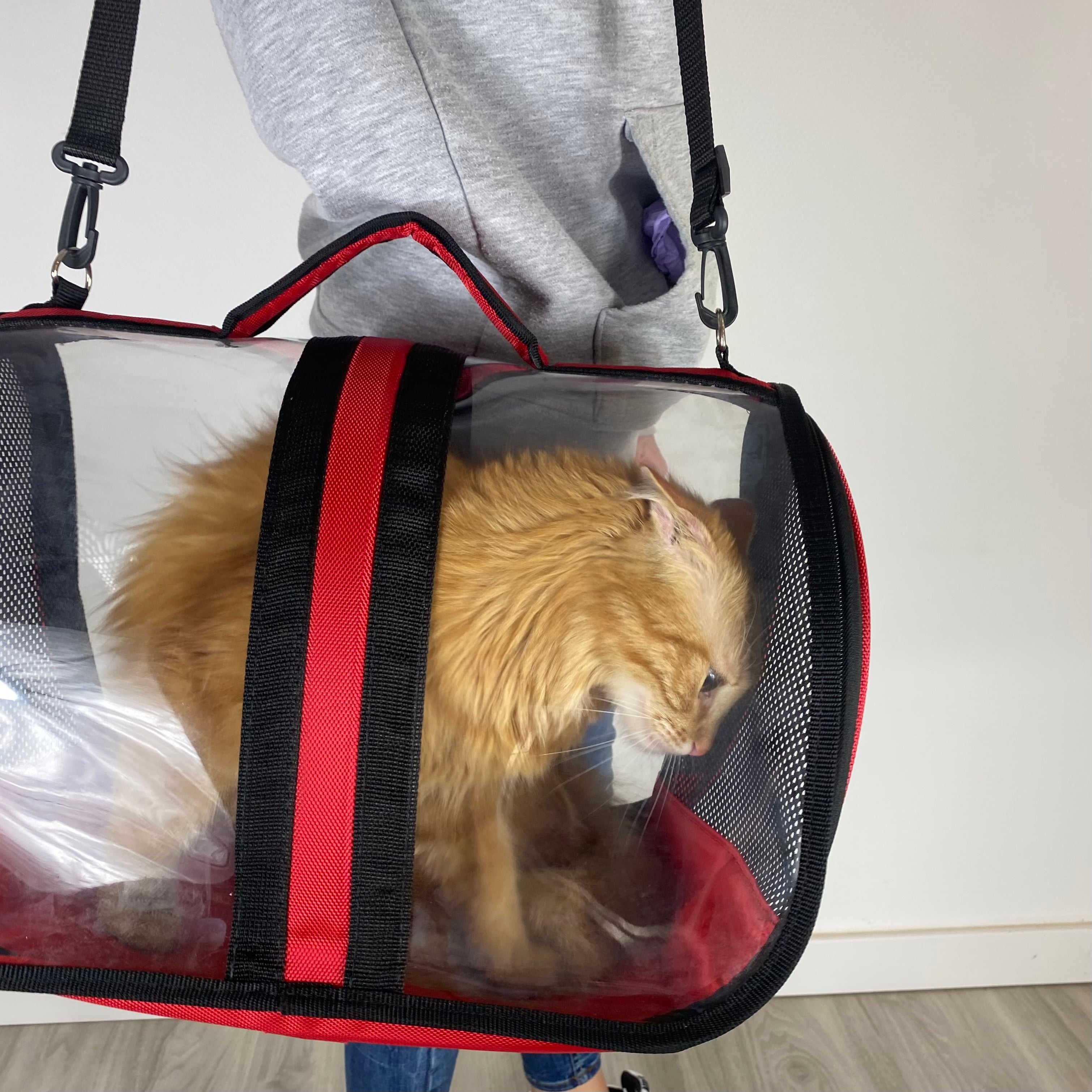 Transporttasche für Katzen - endlich stressfrei zum Tierarzt