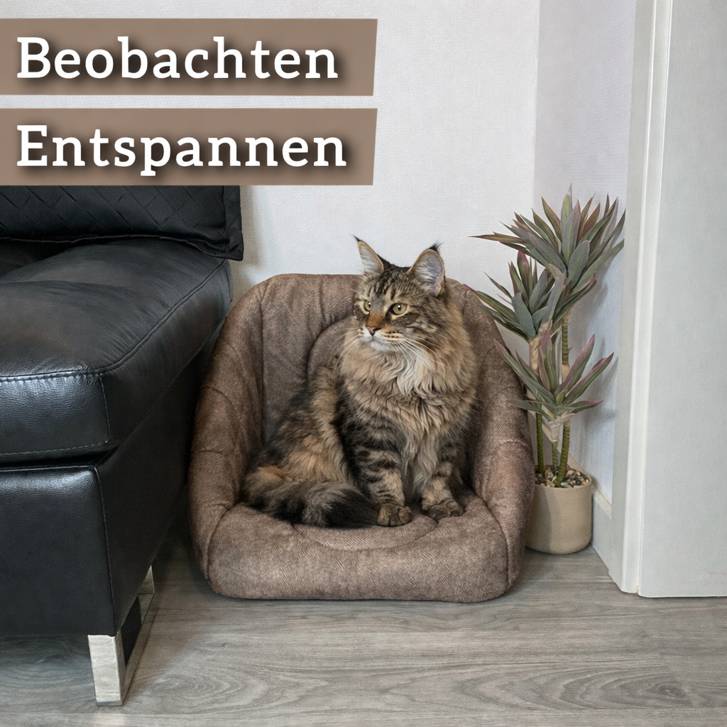 Die 3-in-1 Katzenhöhle, die Katzen lieben - zu jeder Jahreszeit. (Hellbraun)