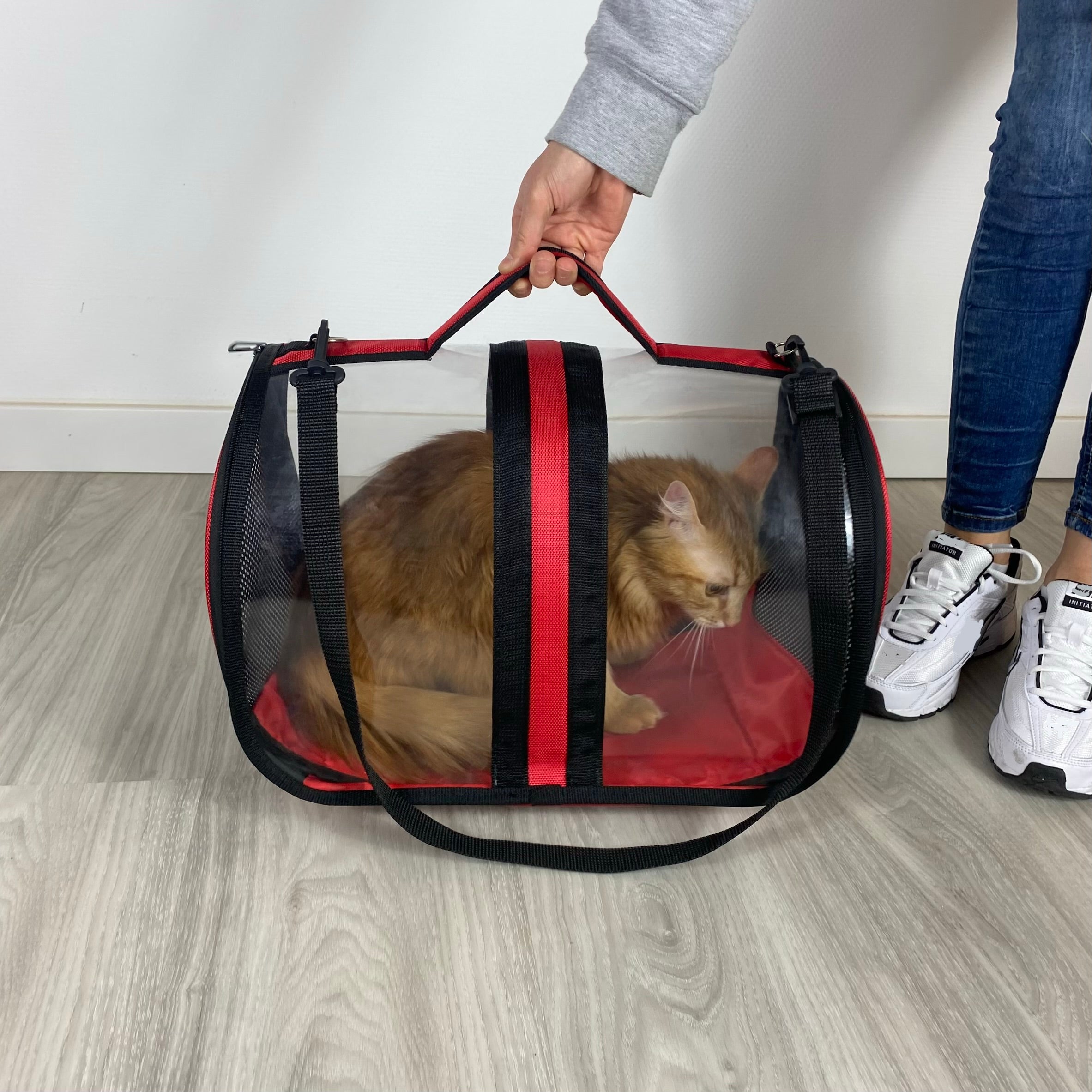 Transporttasche für Katzen - endlich stressfrei zum Tierarzt