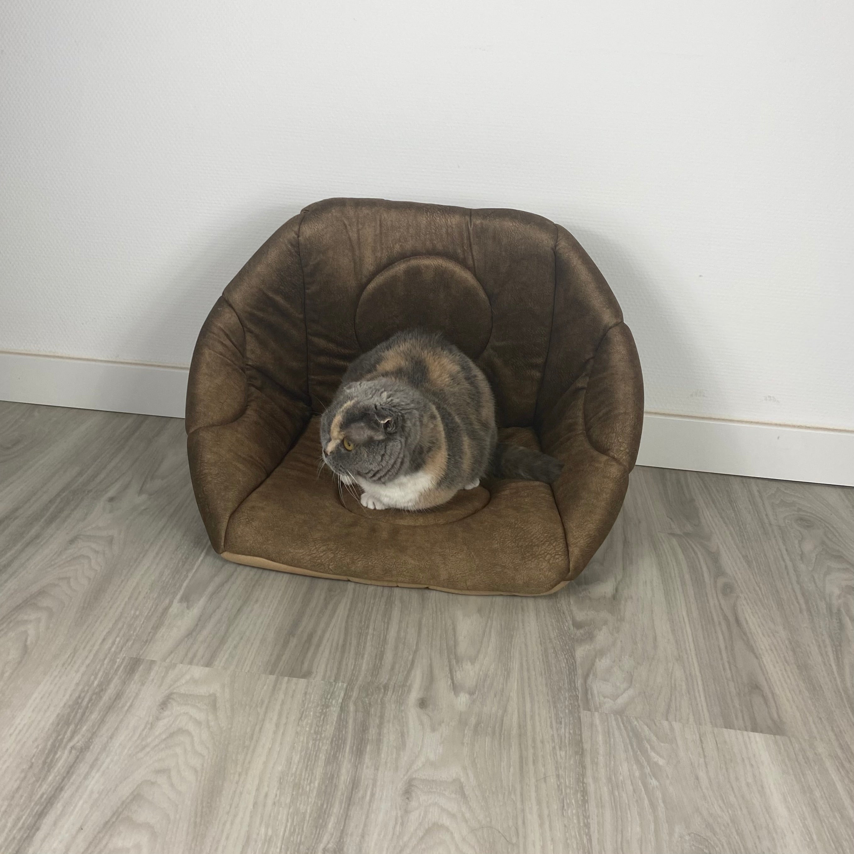 3-in-1 Katzenhöhle als Bett & Sessel 😺