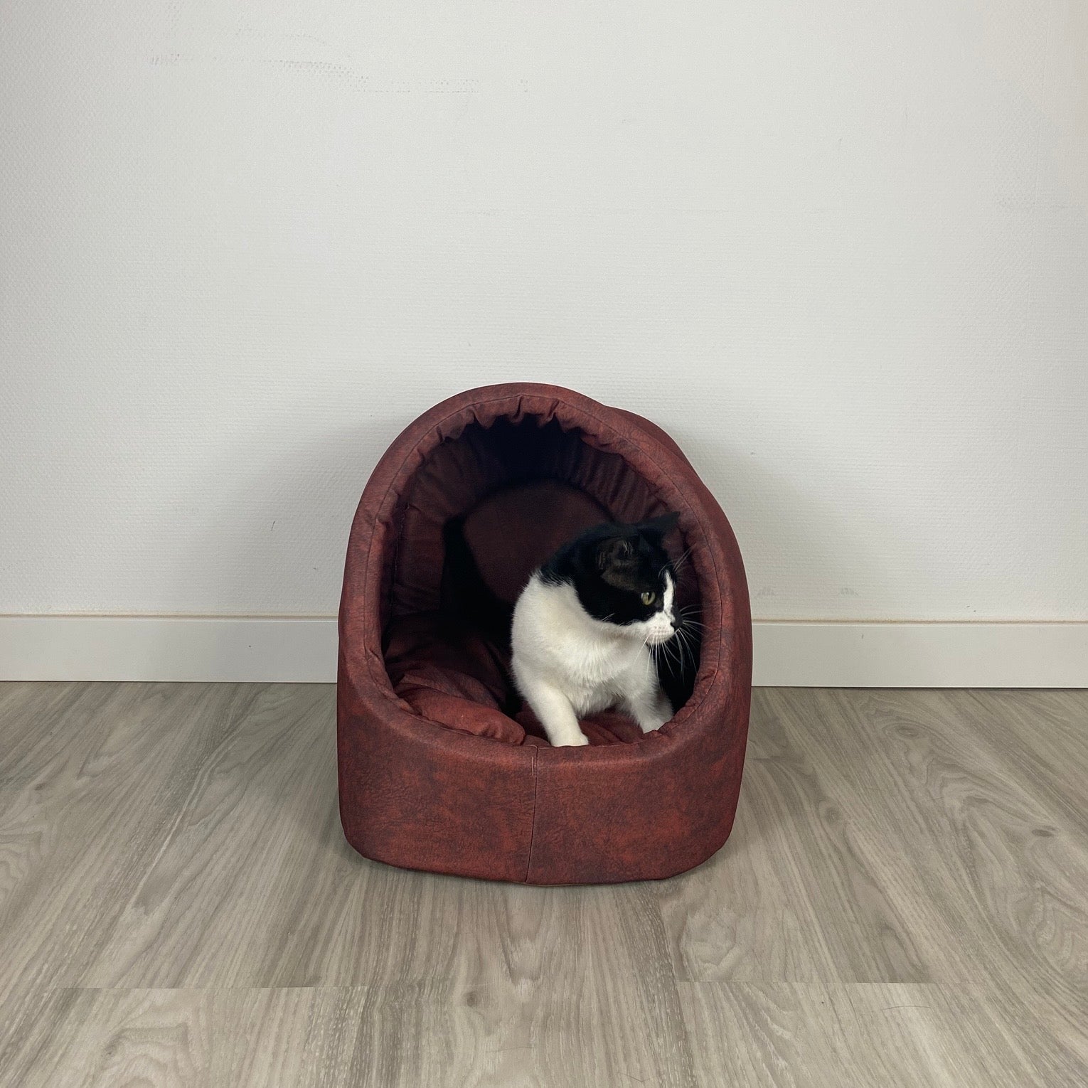 Die Kuschelhöhle für Katzen