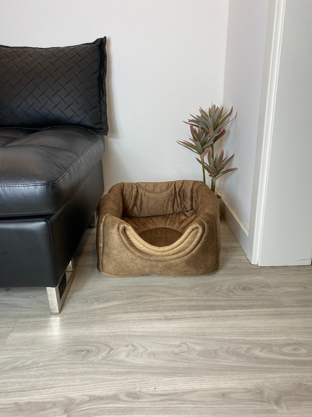 3-in-1 Katzenhöhle als Bett & Sessel 😺