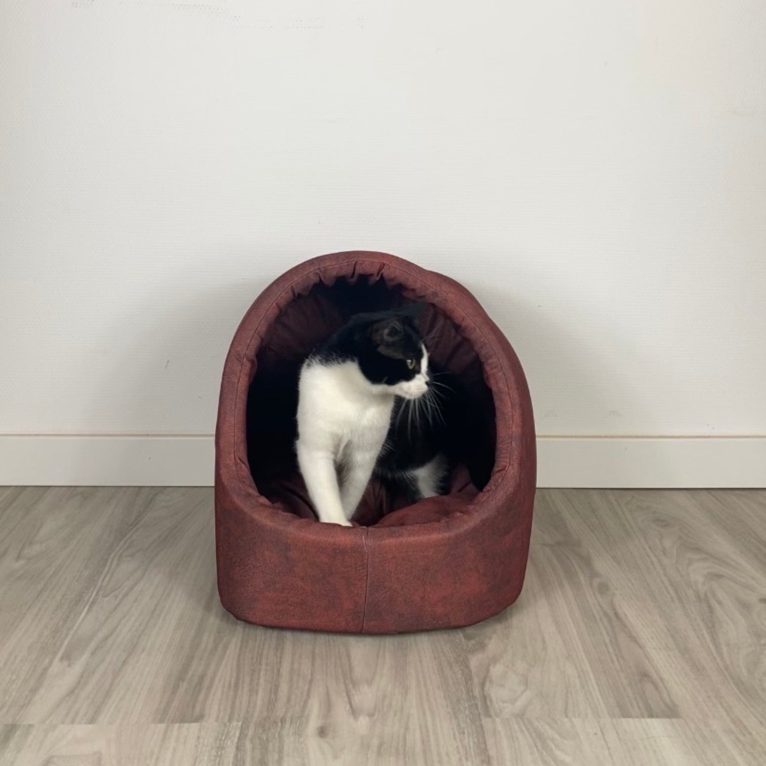 Die Kuschelhöhle für Katzen