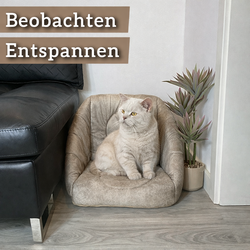 Die 3-in-1 Katzenhöhle, die Katzen lieben - zu jeder Jahreszeit. (Beige)
