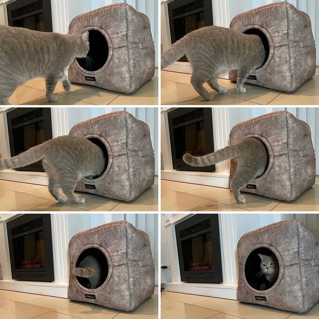 3-in-1 Katzenhöhle als Bett & Sessel 😺