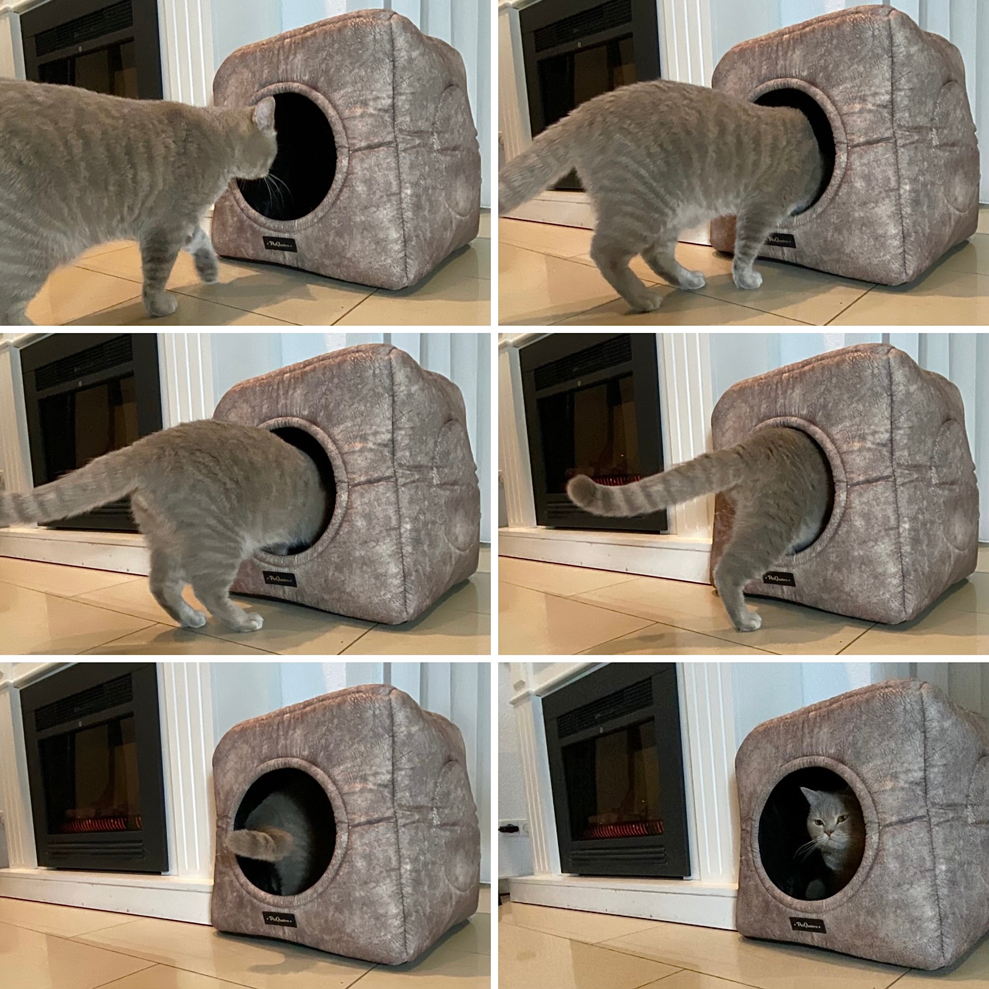 3-in-1 Katzenhöhle als Bett & Sessel 😺