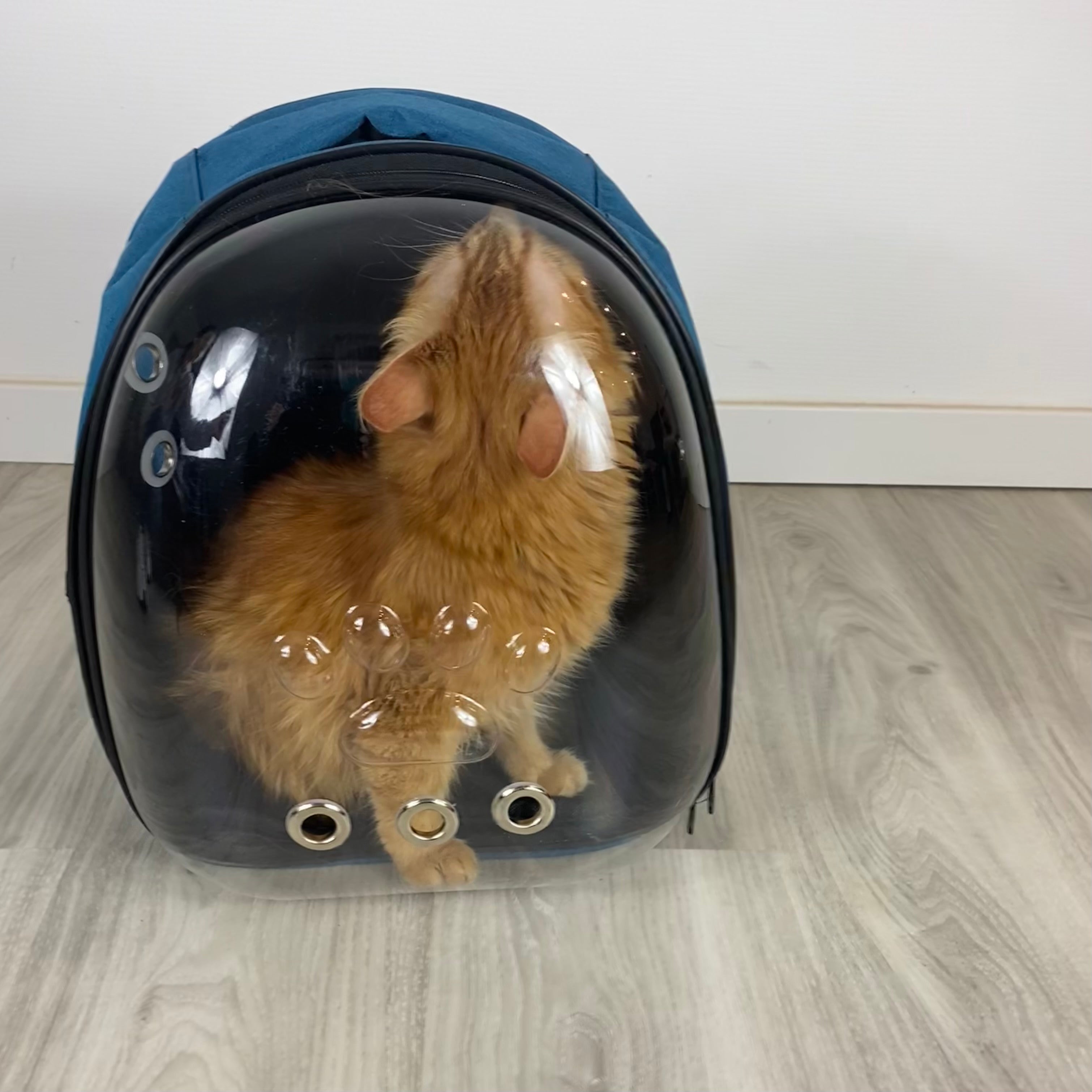 Astronauten-Rucksack für Katzen