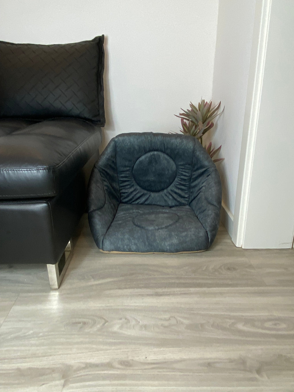 3-in-1 Katzenhöhle als Bett & Sessel 😺