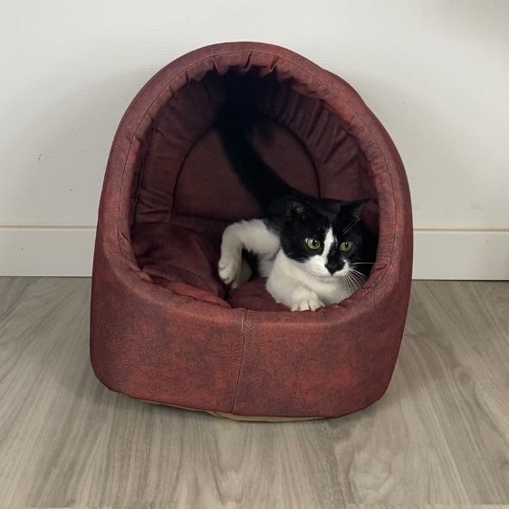 Die Kuschelhöhle für Katzen