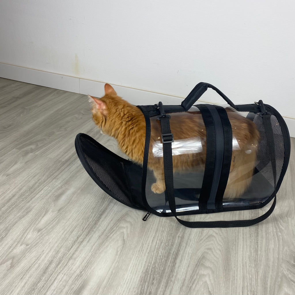 Transporttasche für Katzen - endlich stressfrei zum Tierarzt