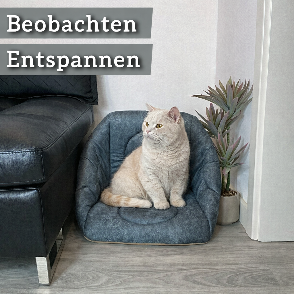 Die 3-in-1 Katzenhöhle, die Katzen lieben - zu jeder Jahreszeit. (Dunkelgrau)