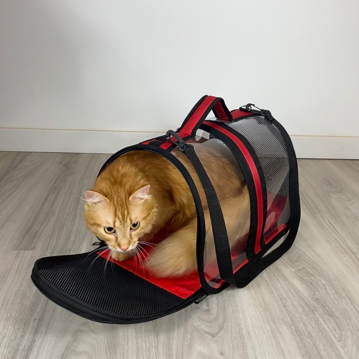 Transporttasche für Katzen - endlich stressfrei zum Tierarzt