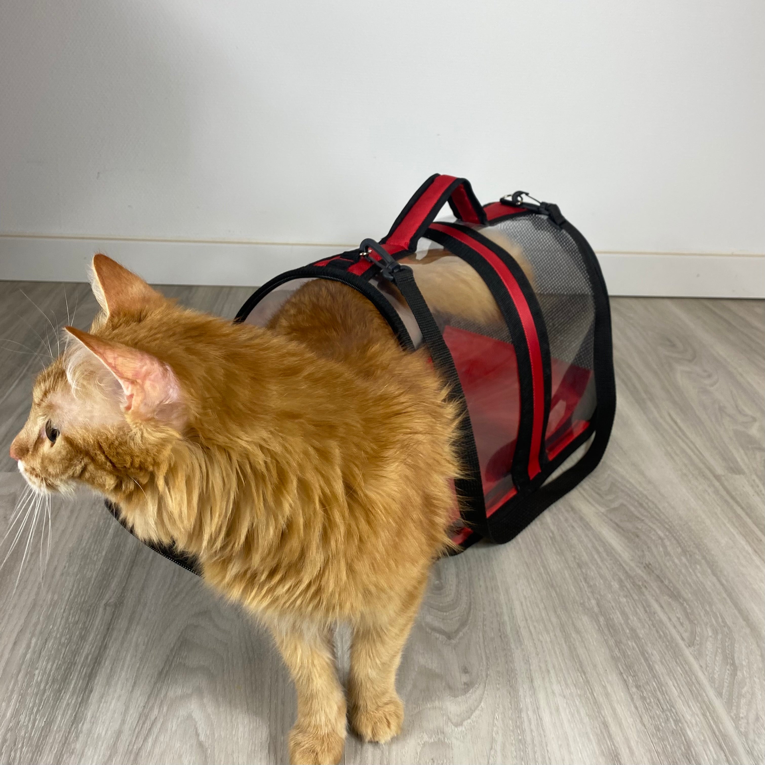 Transporttasche für Katzen - endlich stressfrei zum Tierarzt