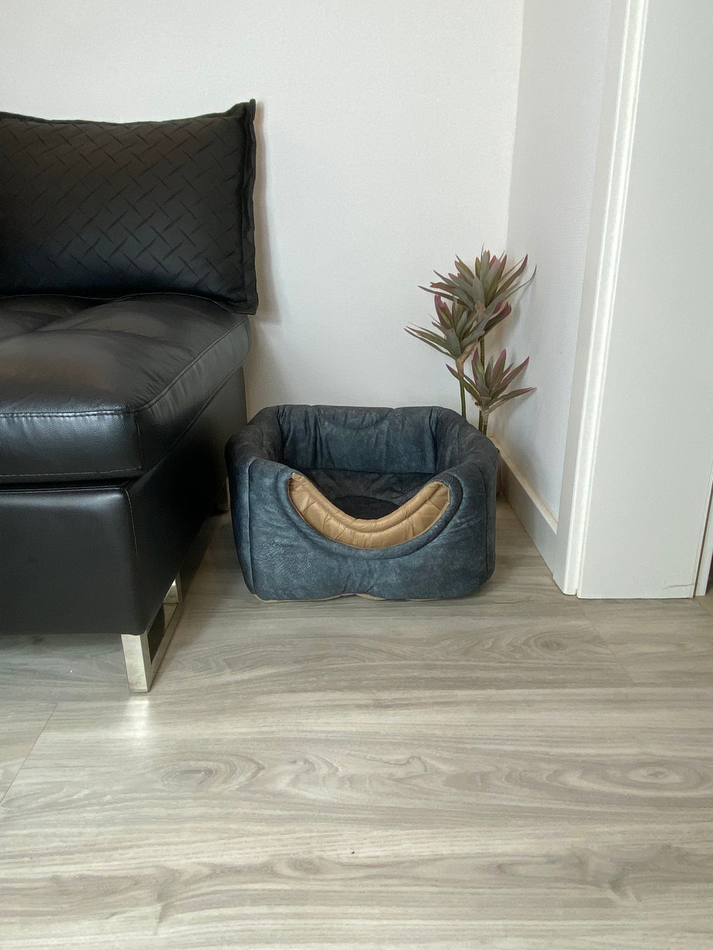 3-in-1 Katzenhöhle als Bett & Sessel 😺