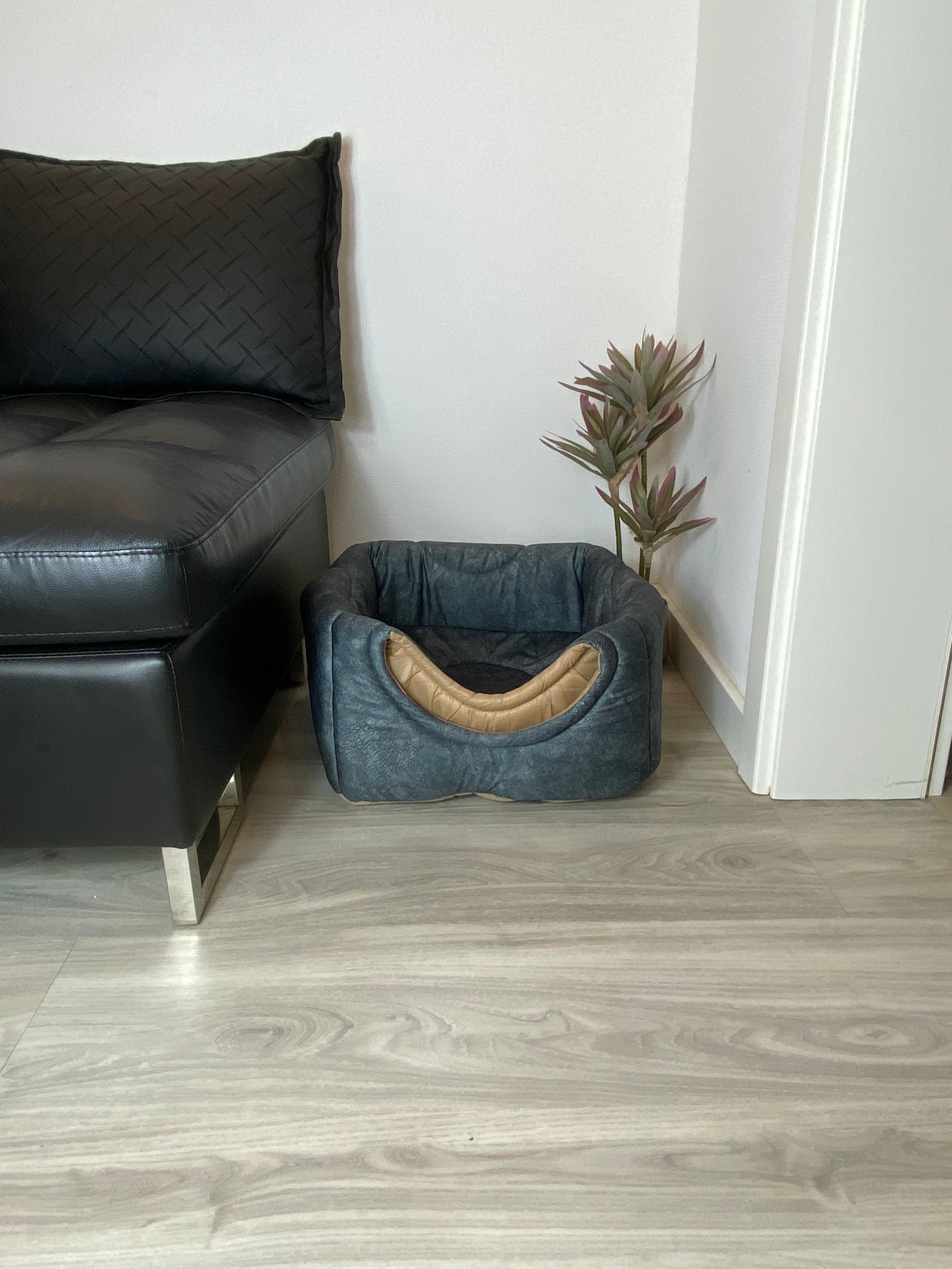 3-in-1 Katzenhöhle als Bett & Sessel 😺