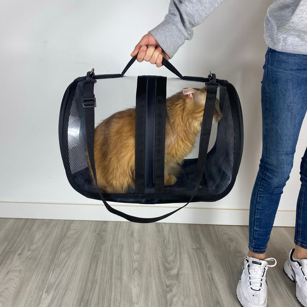 Transporttasche für Katzen - endlich stressfrei zum Tierarzt