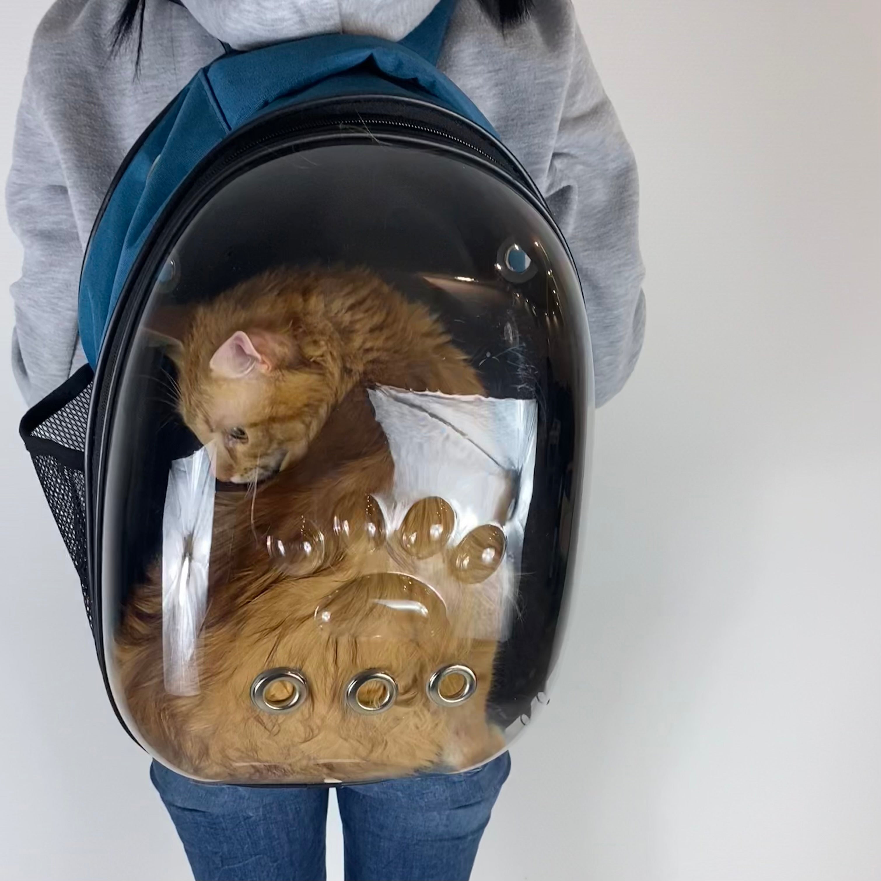 Astronauten-Rucksack für Katzen