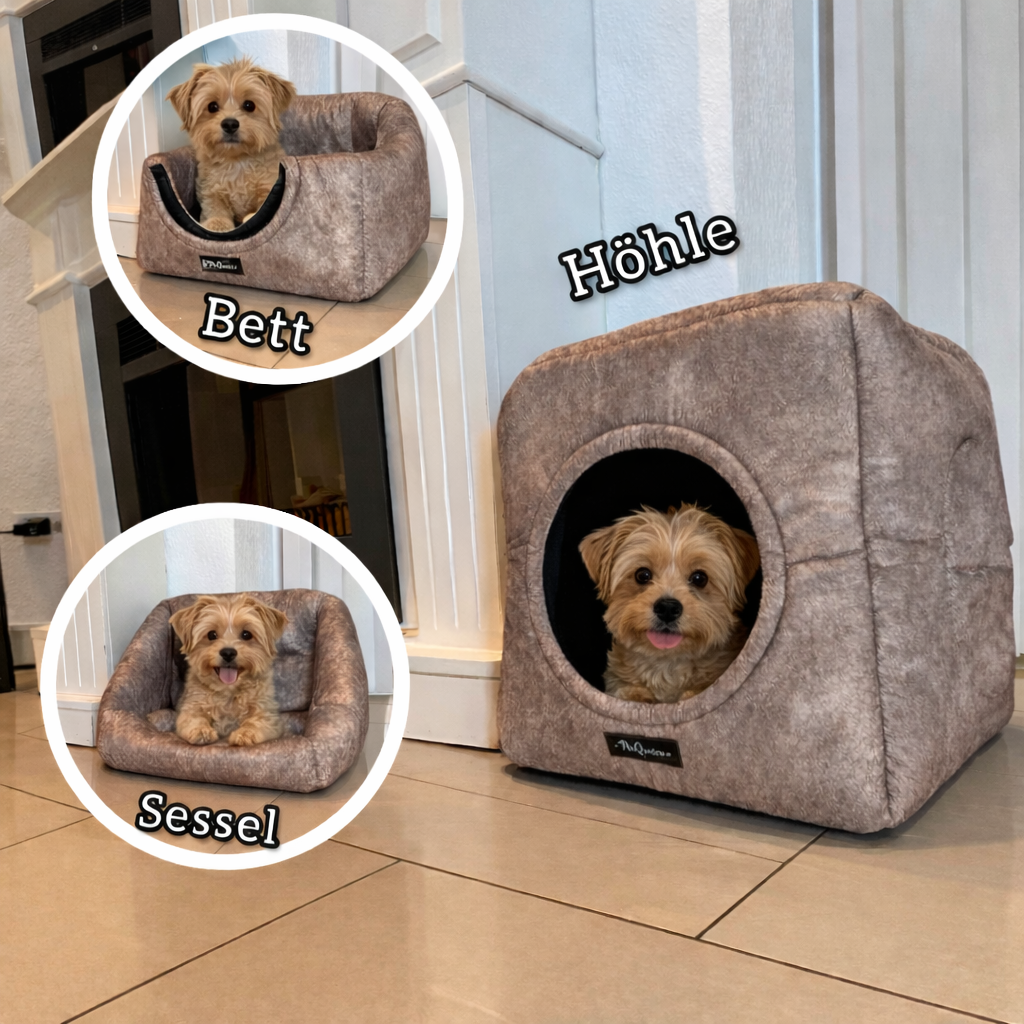 Der perfekte Lieblingsplatz für deinen kleinen Hund 🐶