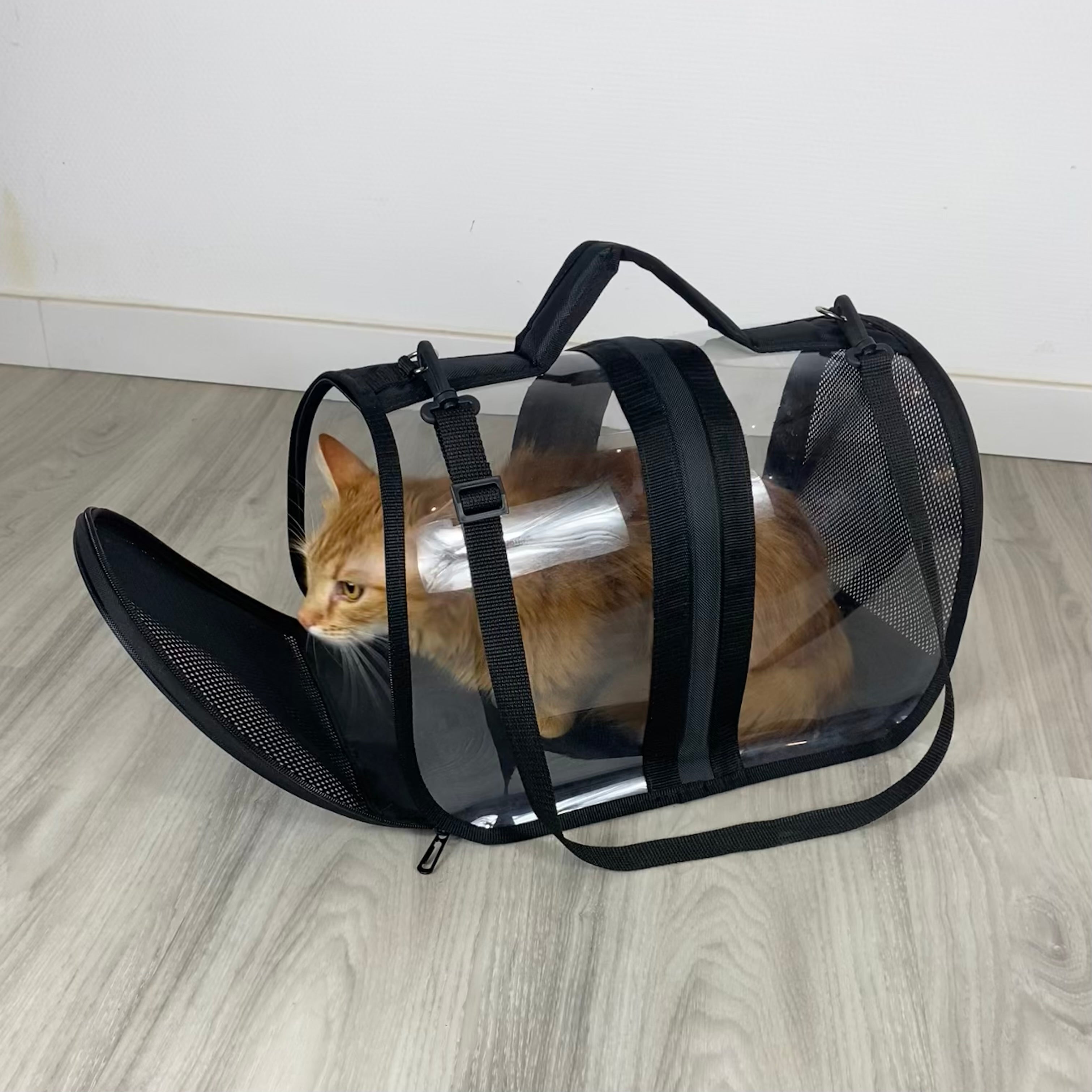 Transporttasche für Katzen - endlich stressfrei zum Tierarzt
