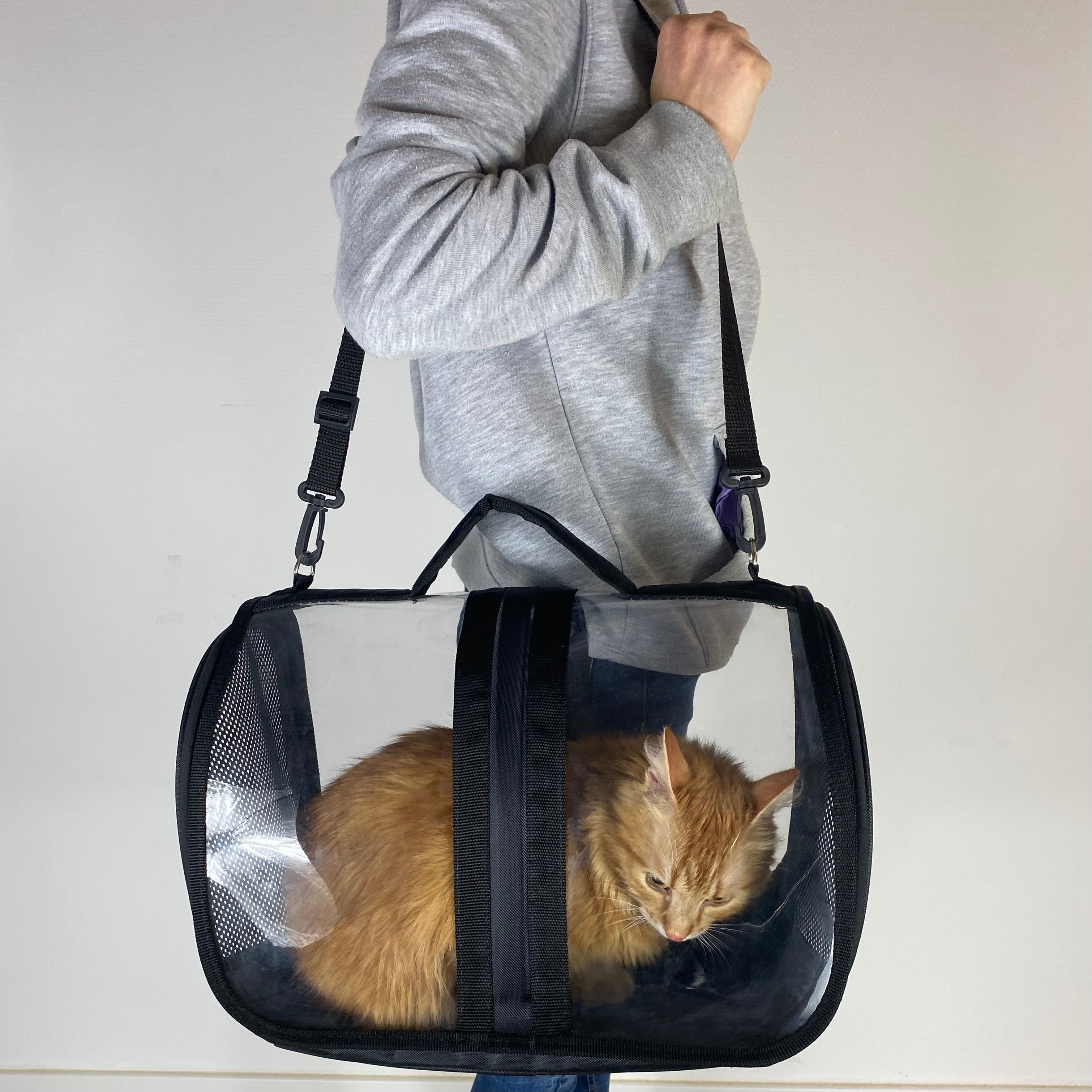 Transporttasche für Katzen - endlich stressfrei zum Tierarzt