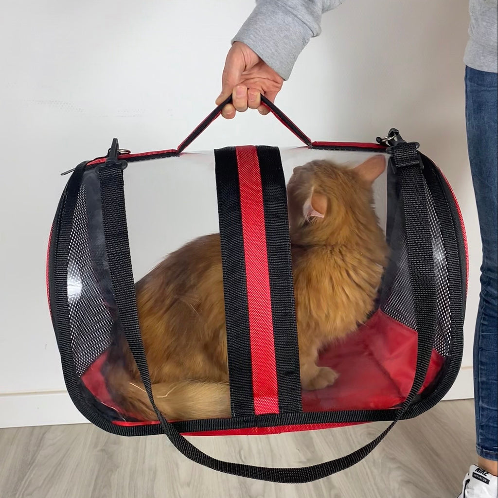 Transporttasche für Katzen - endlich stressfrei zum Tierarzt