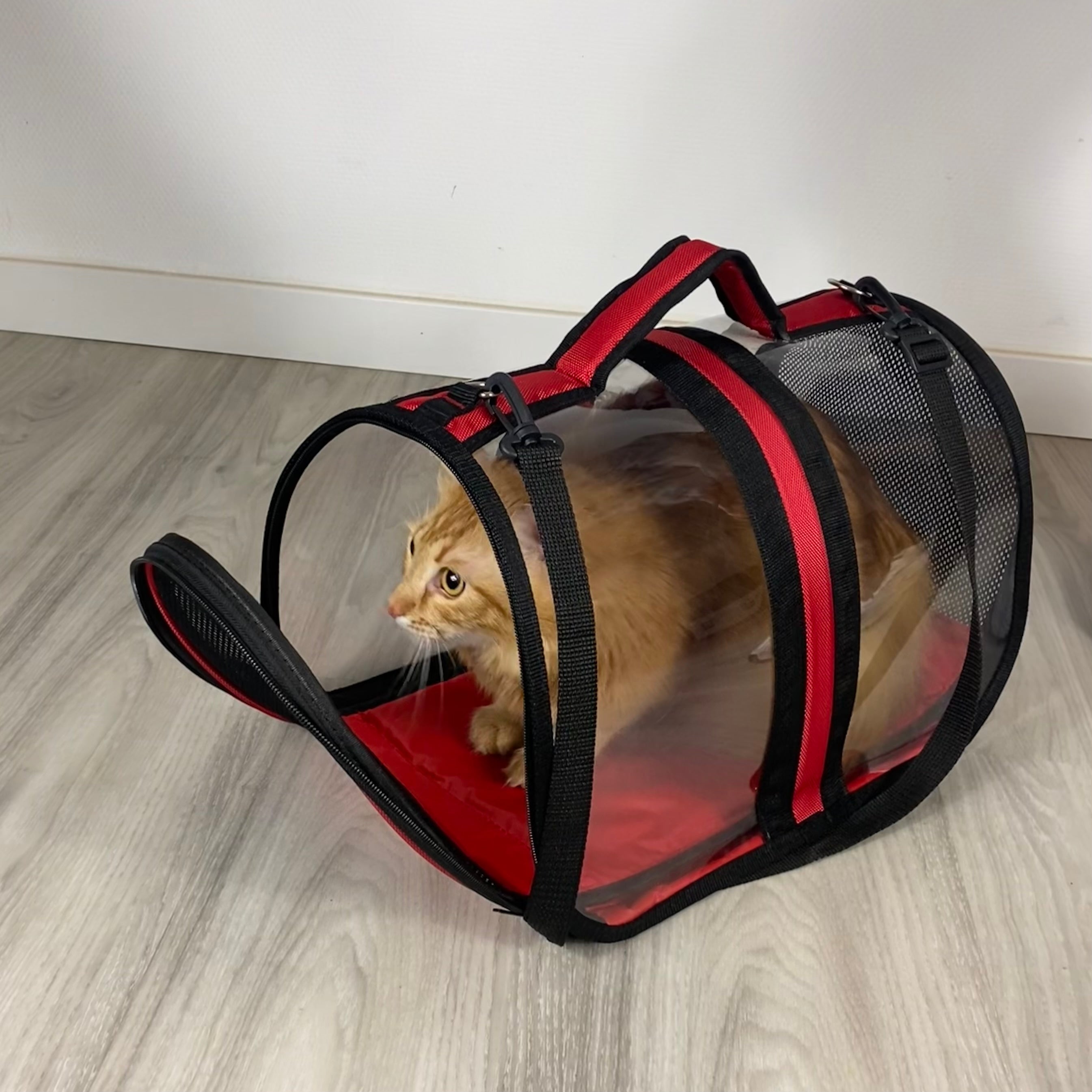 Transporttasche für Katzen - endlich stressfrei zum Tierarzt