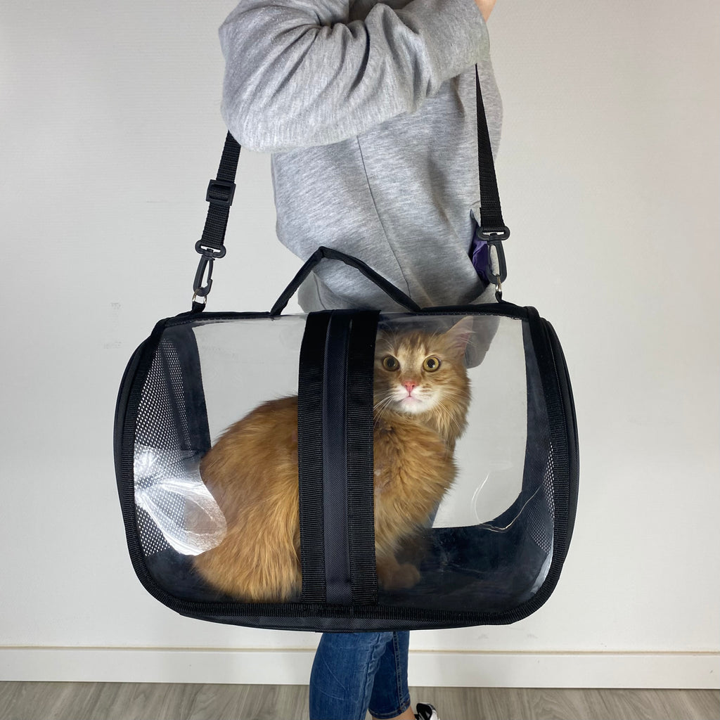 Transporttasche für Katzen - endlich stressfrei zum Tierarzt