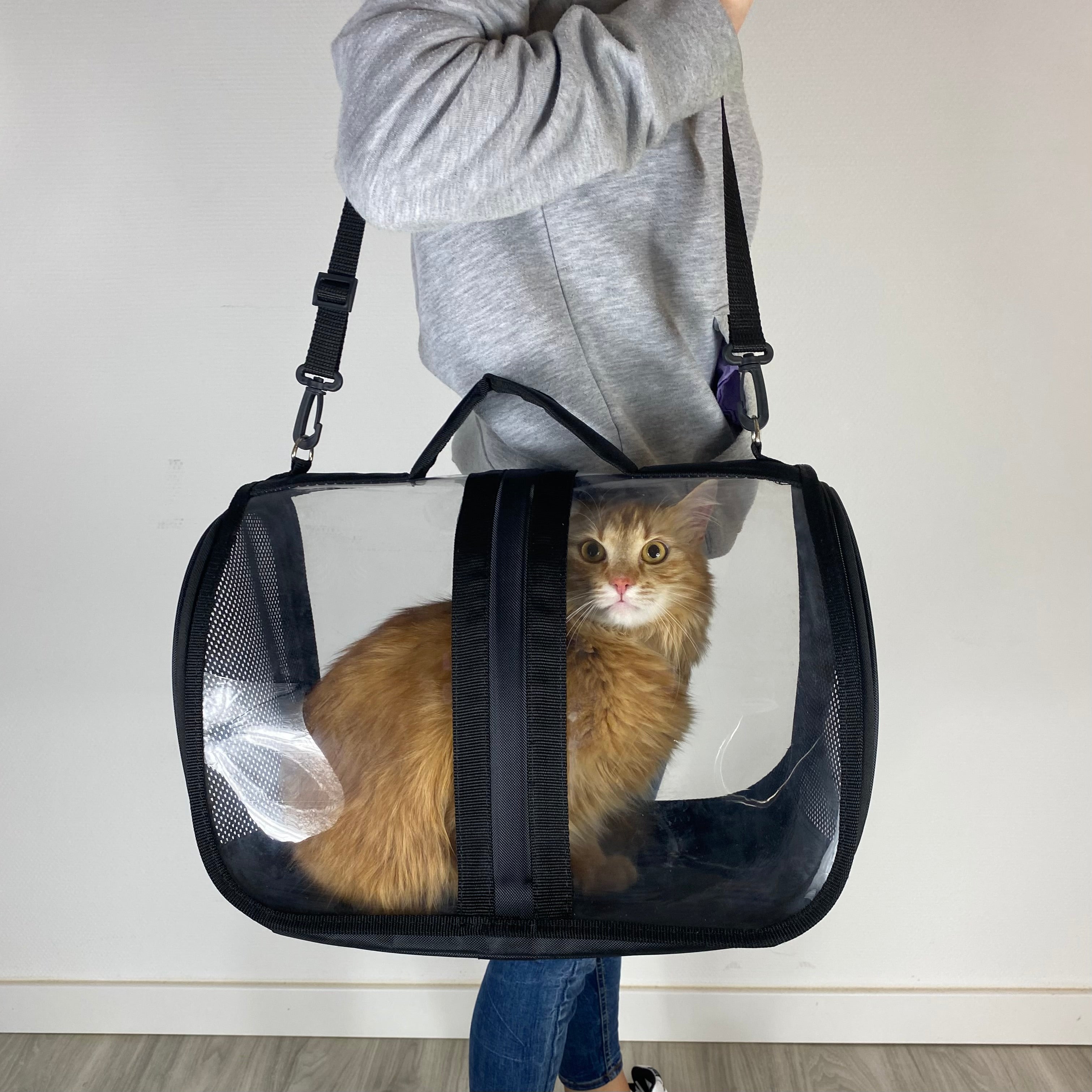 Transporttasche für Katzen - endlich stressfrei zum Tierarzt