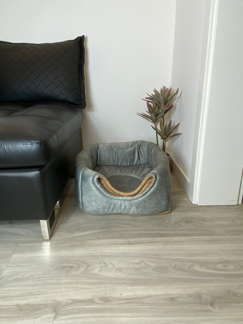 3-in-1 Katzenhöhle als Bett & Sessel 😺