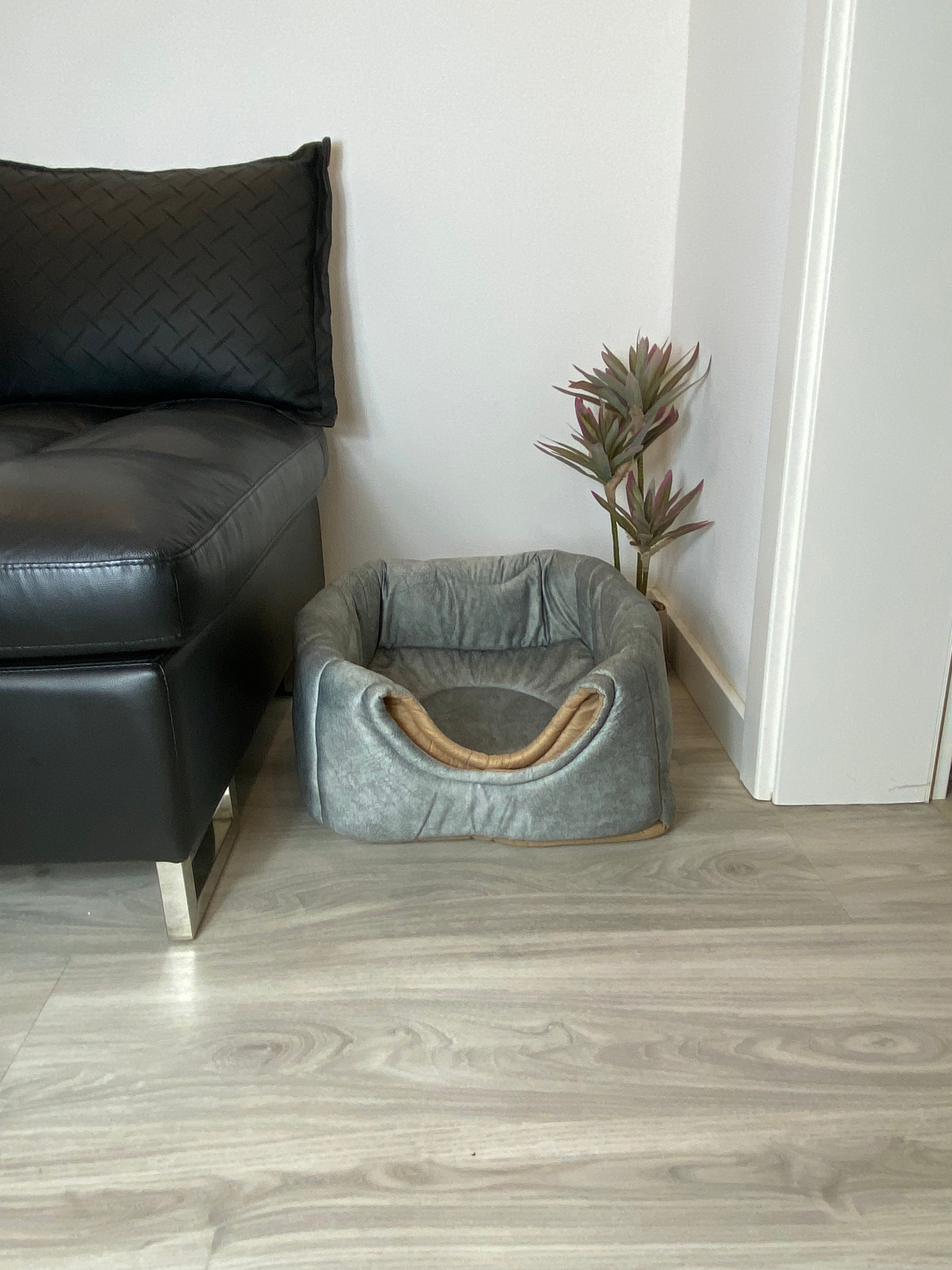 3-in-1 Katzenhöhle als Bett & Sessel 😺