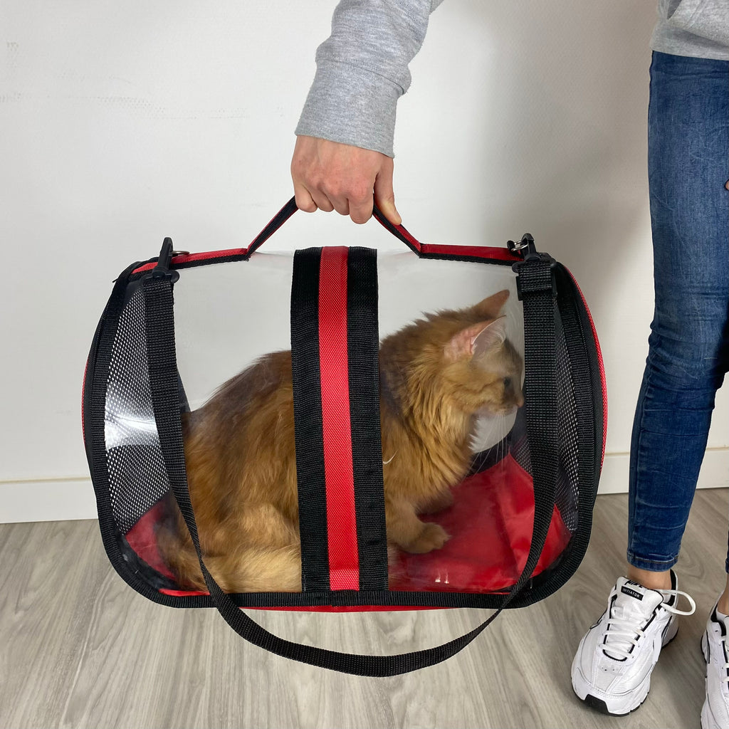 Transporttasche für Katzen - endlich stressfrei zum Tierarzt