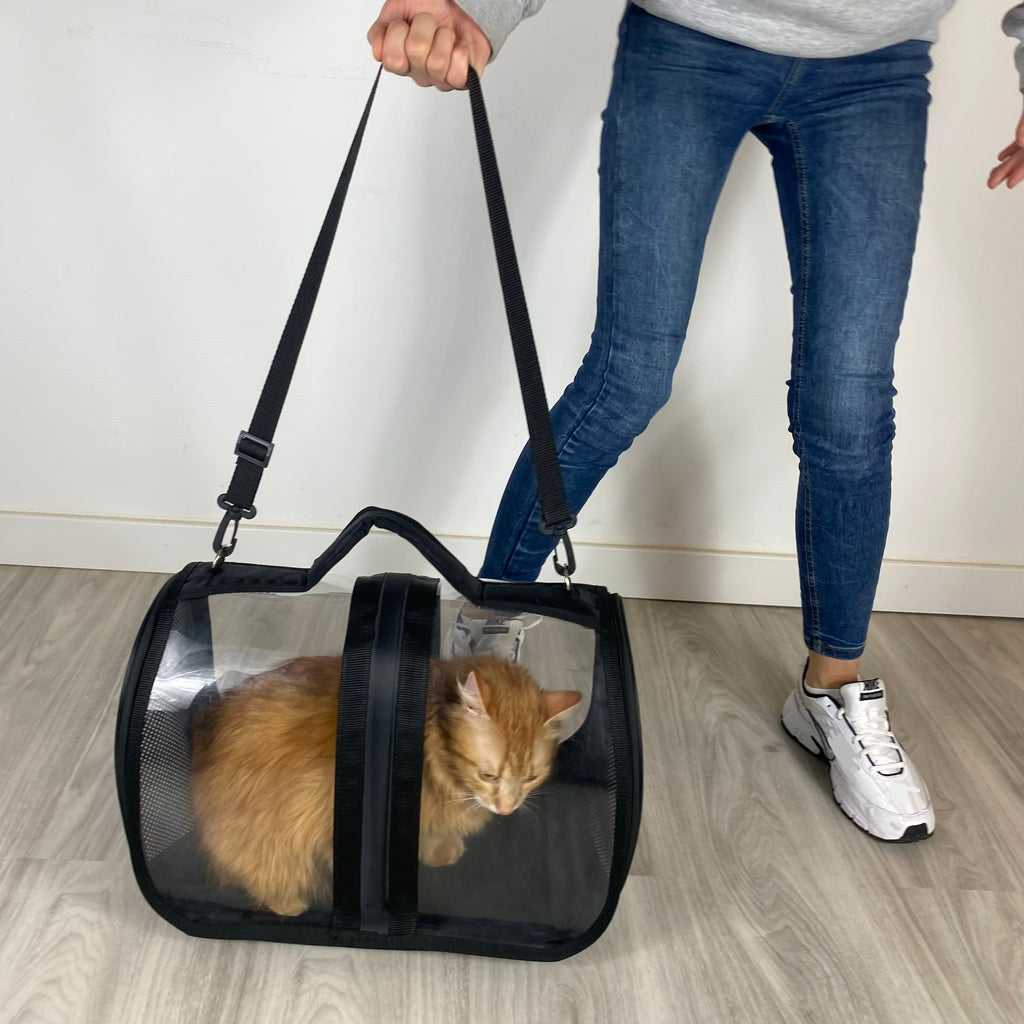 Transporttasche für Katzen - endlich stressfrei zum Tierarzt