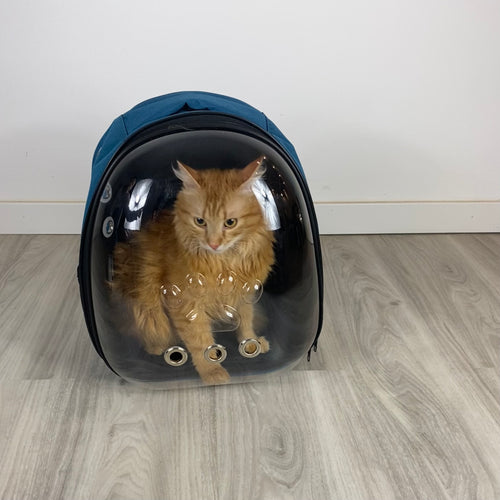 Astronauten-Rucksack für Katzen