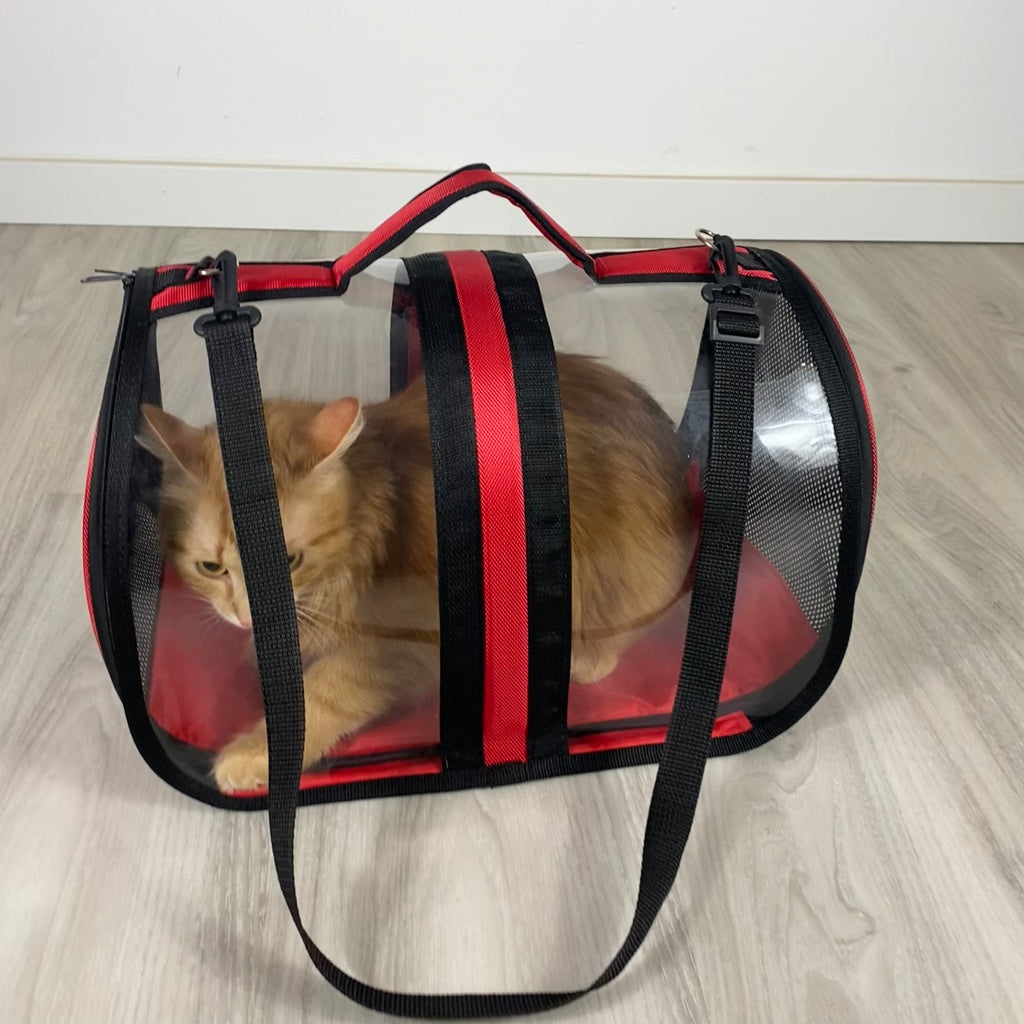 Transporttasche für Katzen - endlich stressfrei zum Tierarzt