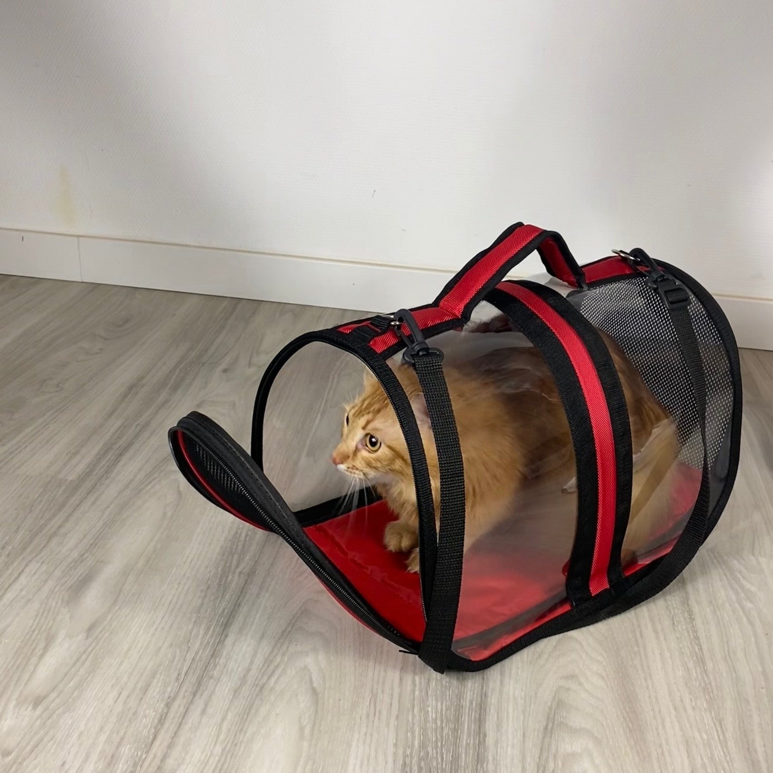 Transporttasche für Katzen - endlich stressfrei zum Tierarzt