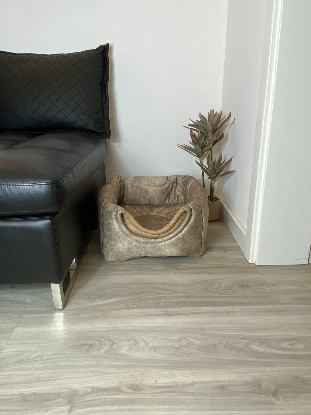 3-in-1 Katzenhöhle als Bett & Sessel 😺