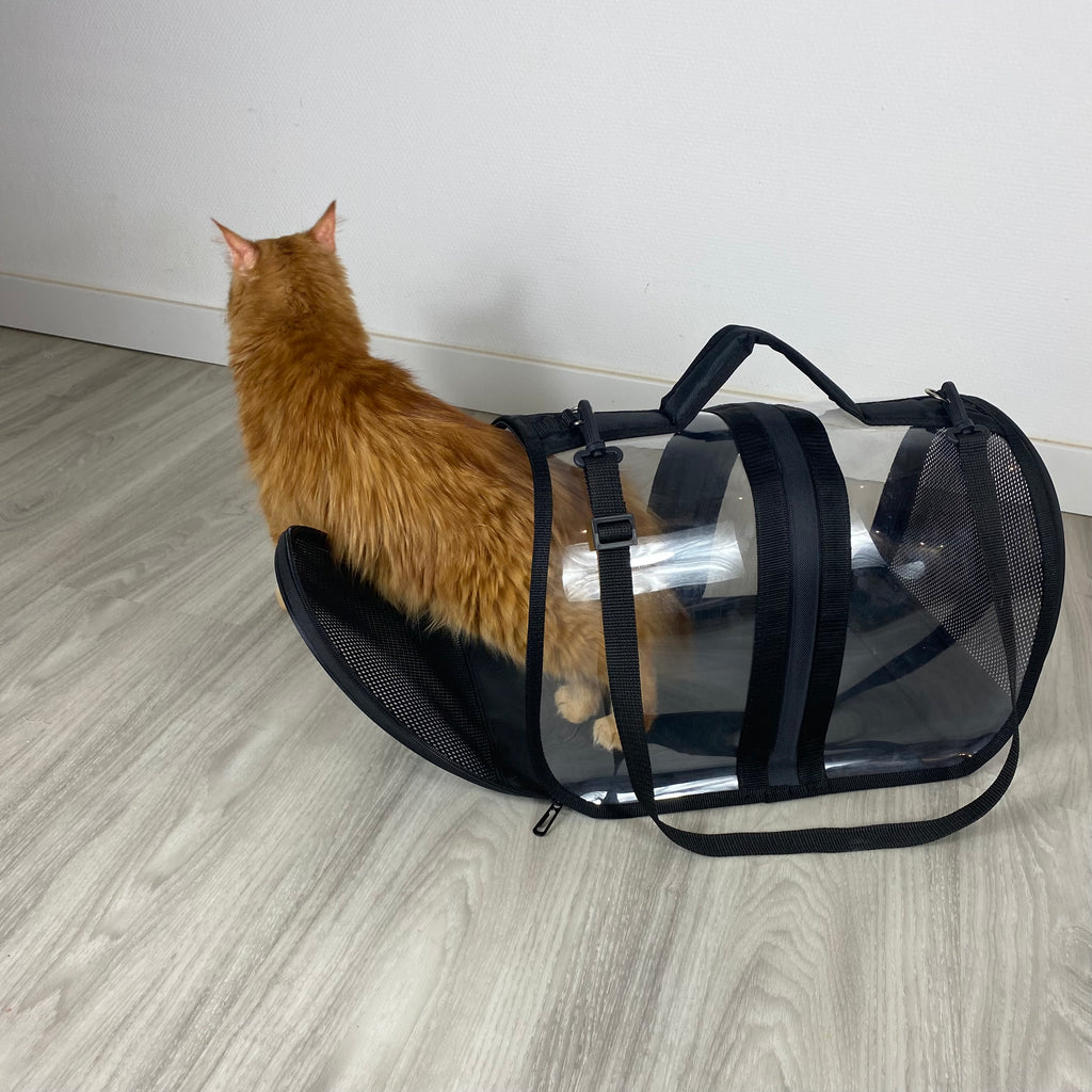 Transporttasche für Katzen - endlich stressfrei zum Tierarzt