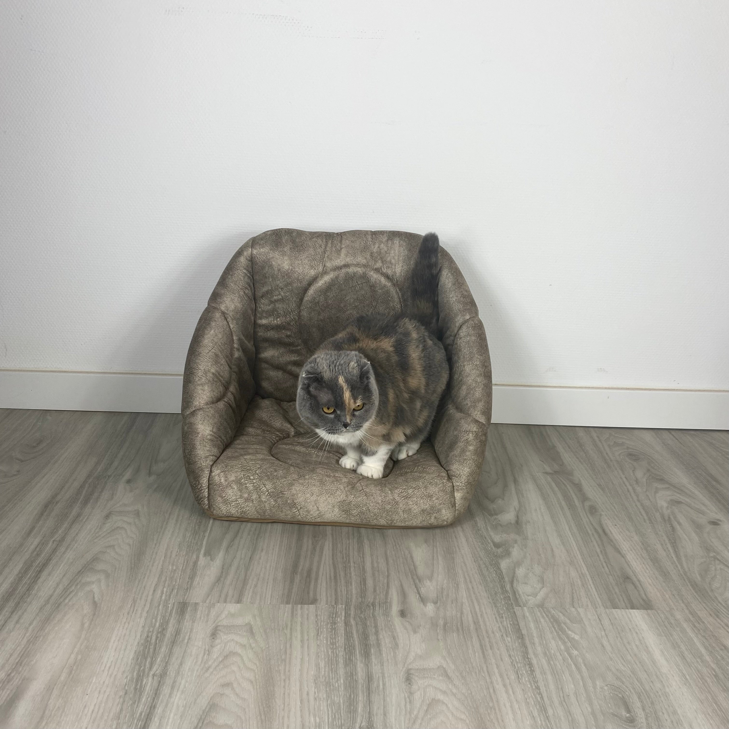 3-in-1 Katzenhöhle als Bett & Sessel 😺